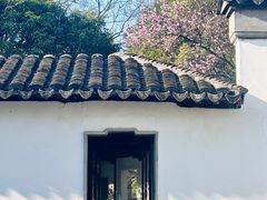 -八大山人梅湖景区