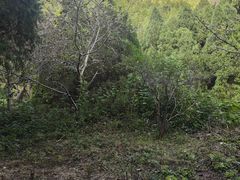-四门塔风景区