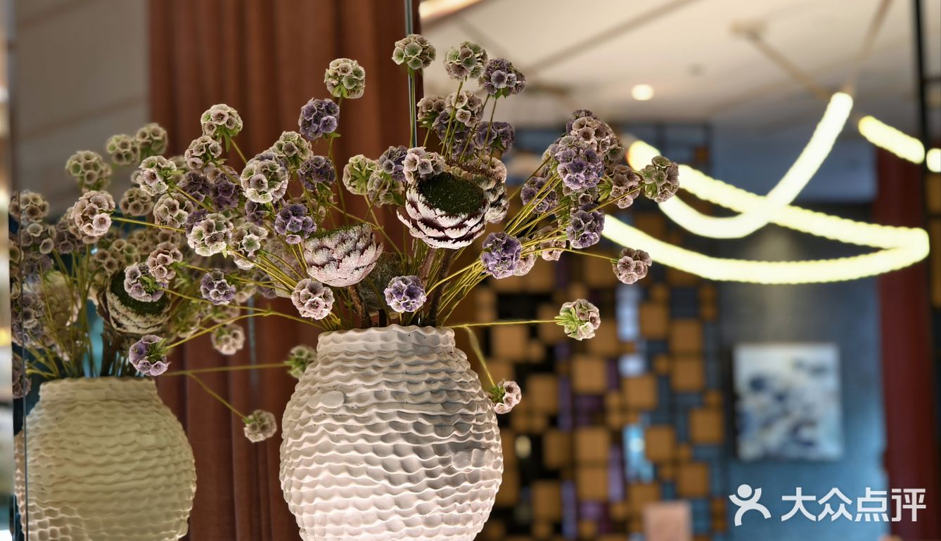 探味之旅关于美美