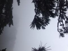 iphone_upload_pic-天柱山风景区