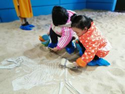 -恐龙探索乐园(磁器口店)