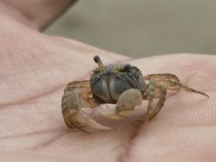 -北海金海湾红树林生态旅游区
