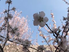 -天津东丽湖风景区