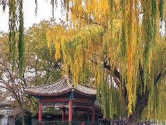 -后海公园