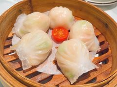 -光明广场