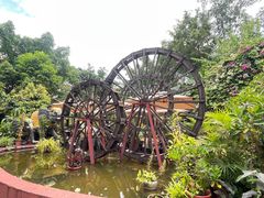 -品德宏·孔雀宴的发源地(金塔园店)