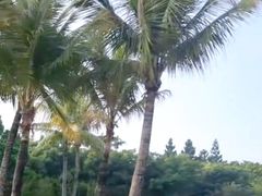 -深圳湾公园(南山区)