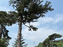 -妙峰山风景名胜区