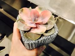 -Olé精品超市(重庆观音桥店)