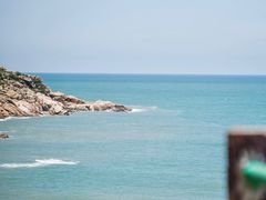 -广东惠东海龟国家级自然保护区