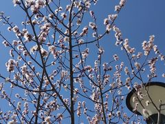 -南开大学(津南校区)