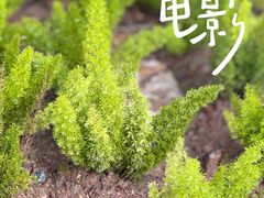 -英雄广场