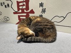 -猫的天空之城概念书店(杭州南宋御街店)