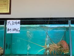 水产区-南海渔家•海鲜•正宗海南菜(海棠湾店)