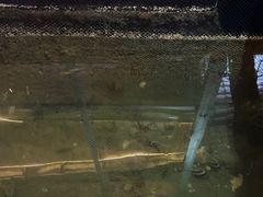 -蓝湾碧波·老字号·疍家非遗海上餐厅