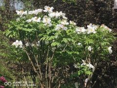 -幕燕滨江·长江观音景区