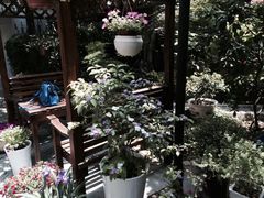 iphone_upload_pic-民国红公馆·艺文空间(颐和路店)