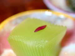 -广州富力君悦大酒店空中花园