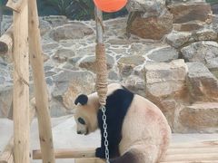 -杭州少年儿童公园