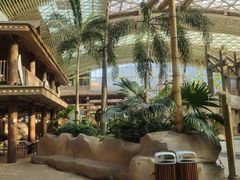 -杭州开元森泊度假乐园