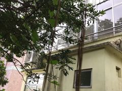 -洞背山庄(洞背院区式管理小区店)