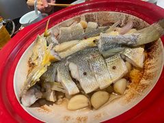 -1937青岛老味道·海肠捞饭·青岛菜(大鲍岛栈桥店)