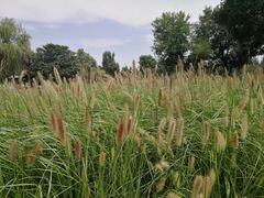 -汉长安城未央宫国家考古遗址公园