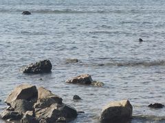 -三亚西岛海洋文化旅游区
