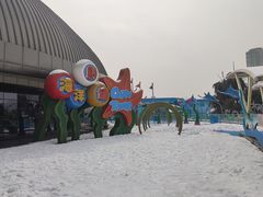 -海合安武汉极地海洋公园