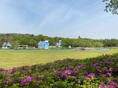 -宜兴龙背山森林公园
