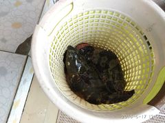 -南海渔家•海鲜•正宗海南菜(海棠湾店)