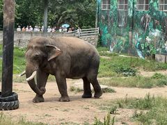 -西安秦岭野生动物园