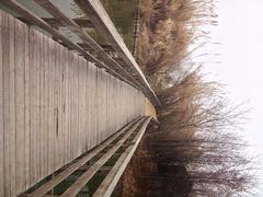 溱湖国家湿地公园-溱湖国家湿地公园