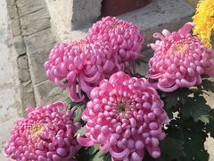 -西安化觉巷清真大寺