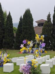 -Sugar苏格婚礼策划工作室