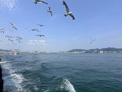 -刘公岛景区