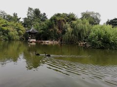 -水绘园