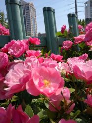 -奥丽维娅美容养生会所