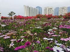 -狐尾山公园