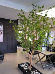 -付军剪艺JF ProSalon