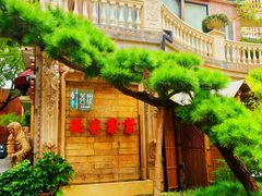 -叶叶菩提(太原别墅店)