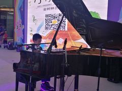 -金树林艺术中心(黄浦店)