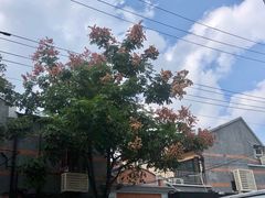 -老地方面馆(思南路店)