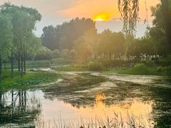 -东郊湿地公园