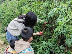 -迪茵湖田家舍生态农场