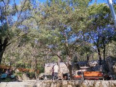 -大岭沟猕猴桃谷风景区