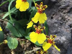 -南通洲际绿博园