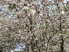 -法派1855(东湖别墅店)