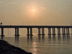 -宝安西湾红树林湿地公园