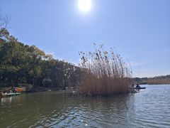 -同里国家湿地公园